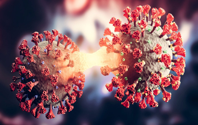 Campaña de salud: juntos contra la Influenza y la variante del Covid NB 1.8.1.